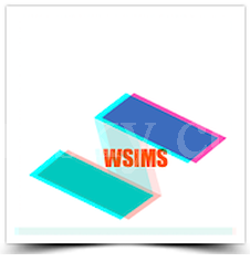 170902101142_WSIMS logo.png